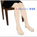 족삼리 이미지