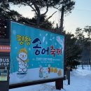 금이 낚시터 | 2026/1/13일 오픈런 생생후기 (평창송어축제 3번째 방문자의 솔직한마음)