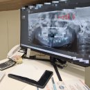 더플랜트치과의원 이미지