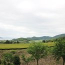 다향울림촌 이미지