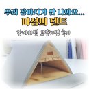 펫하우스애견 | 강아지집 추천 강아지텐트 애견 하우스 고양이집 펫브랜디 극세사 활용 후기