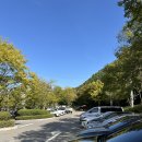 병목안시민공원 | 병목안시민공원: 안양산책 안양핫플 안양공원 안양데이트