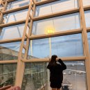 11650-1-10-621 | 베트남 다낭 여행 에어프레미아 YP621 항공 탑승 기내식 후기