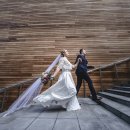 사랑축사 이미지