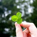 착한사람들 이미지