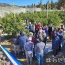 하예동-13 이미지