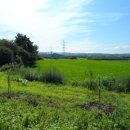 신암면010 이미지