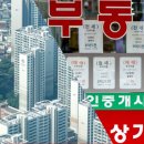 주공부동산중개사무소 이미지