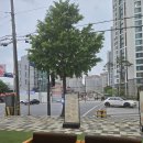 양계장집 아들 이미지