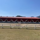 거창 오로라 승마장 이미지