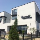 퀘렌시아 애견 이미지