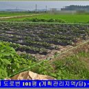 땅나라공인중개사사무소 이미지