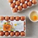 믿음축산농장 이미지