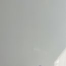 식물하나담다 - 군산시 미장6길 38 | 식물하나담다