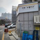 오월의케이크