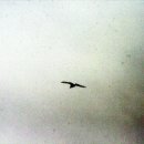 아이&I 소아청소년과의원 이미지