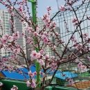 세주농장 이미지