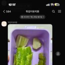 우리강아지 이미지