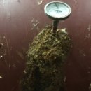 중앙사우나 이미지