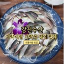 강진-46 | 가락시장 횟집 추천 강진수산 가락몰 후기(가을 전어 맛집, 고흥 회상회)