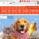 웨그(Wag) 네이버블로그