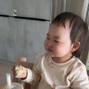 프렌데레베이글 이미지