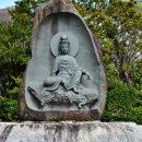 살다보면 이미지