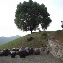 하늘솔황토민박 이미지