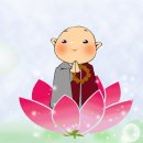 오늘핀꽃