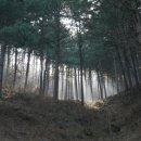 설곡리보건진료소 이미지