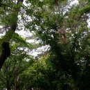 인월중학교 이미지