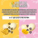 도농살림