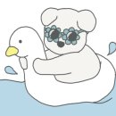 꽃개애견미용 이미지