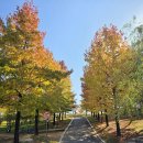 죽전공원 화장실 이미지