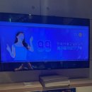 돼지노래연습장 이미지