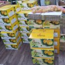 월영동113 이미지