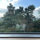 브런치앤숲 이미지