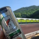 숲속파도소리