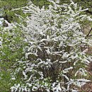 수성구민운동장 이미지