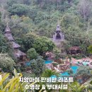 치앙마이 숙소 판비만 리조트 수영장 및 부대시설 후기