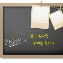 중랑천 제1체육공원 | 중랑천인라인강습/중랑천제1체육공원