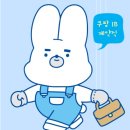 [EP.10] 쿠팡 T센터 IB계약직 후기 (검수 _ PS)