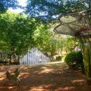 황선욱 화무 이미지