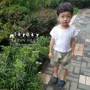 프랑스 자수 Daum카페