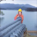 2024년03월30일 벗꽃 흩날리는 대청호 아름다은길&amp;수생식물원 (대청호 4구간 슬픈연가 촬영지) (미드지기님 진행) 이미지