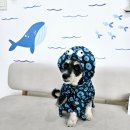 댕댕다방 이미지