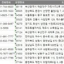 니나노여행사
