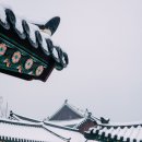 새 세기 동창종로약국 | 서울 궁궐 투어, 창덕궁 전각에서 보는 설경(창경궁 가는 길, 주차, 후원 예매 방법)