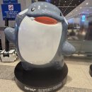 대아푸드 | 교원투어 설날 패키지 일본 대마도 1박 2일 노바호 솔직 후기