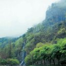 [한국의 숲, 한국의 명산](14) 전북 순창·전남 담양 ‘강천산’ 이미지